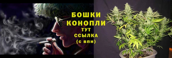 молекула духа Киреевск