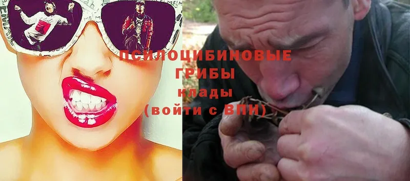 OMG как войти  где найти наркотики  Власиха  Псилоцибиновые грибы Psilocybe 