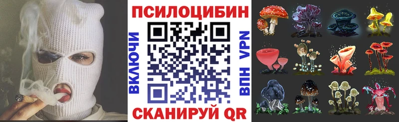 Псилоцибиновые грибы MAGIC MUSHROOMS  Власиха 